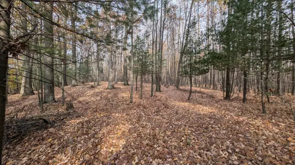 Free Soil, MI 49411,V/L N Poplar Road