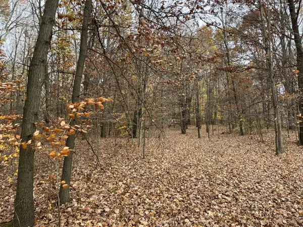 Hopkins, MI 49328,VL 136th Avenue