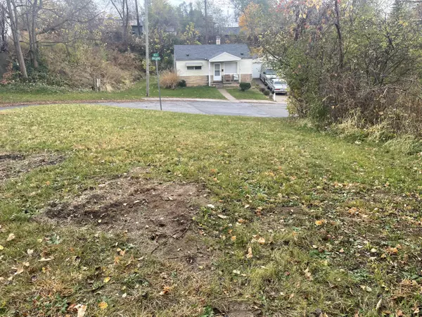 Ypsilanti, MI 48197,317 Orchard Street