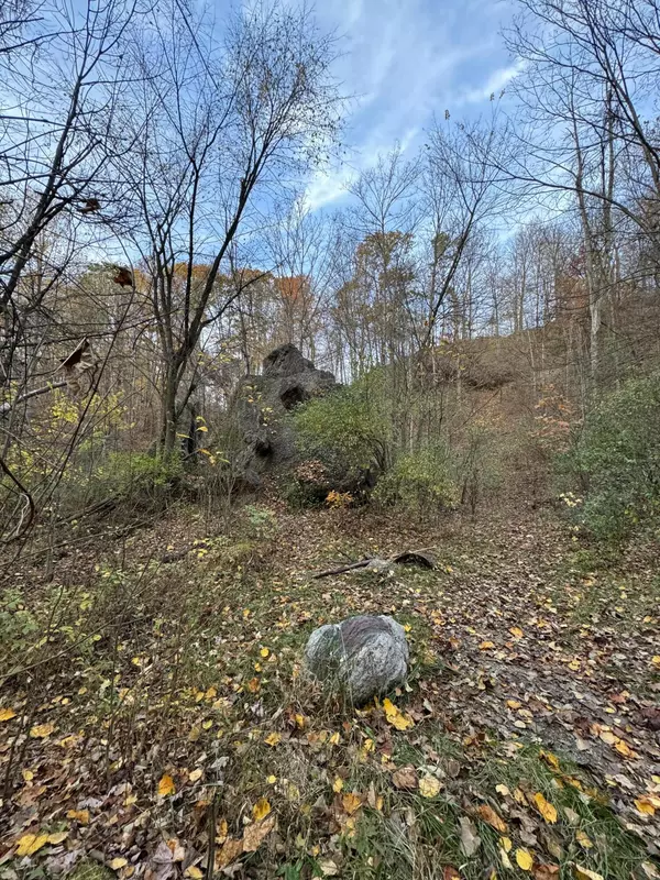 Jones, MI 49061,00000 Bald Hill Street