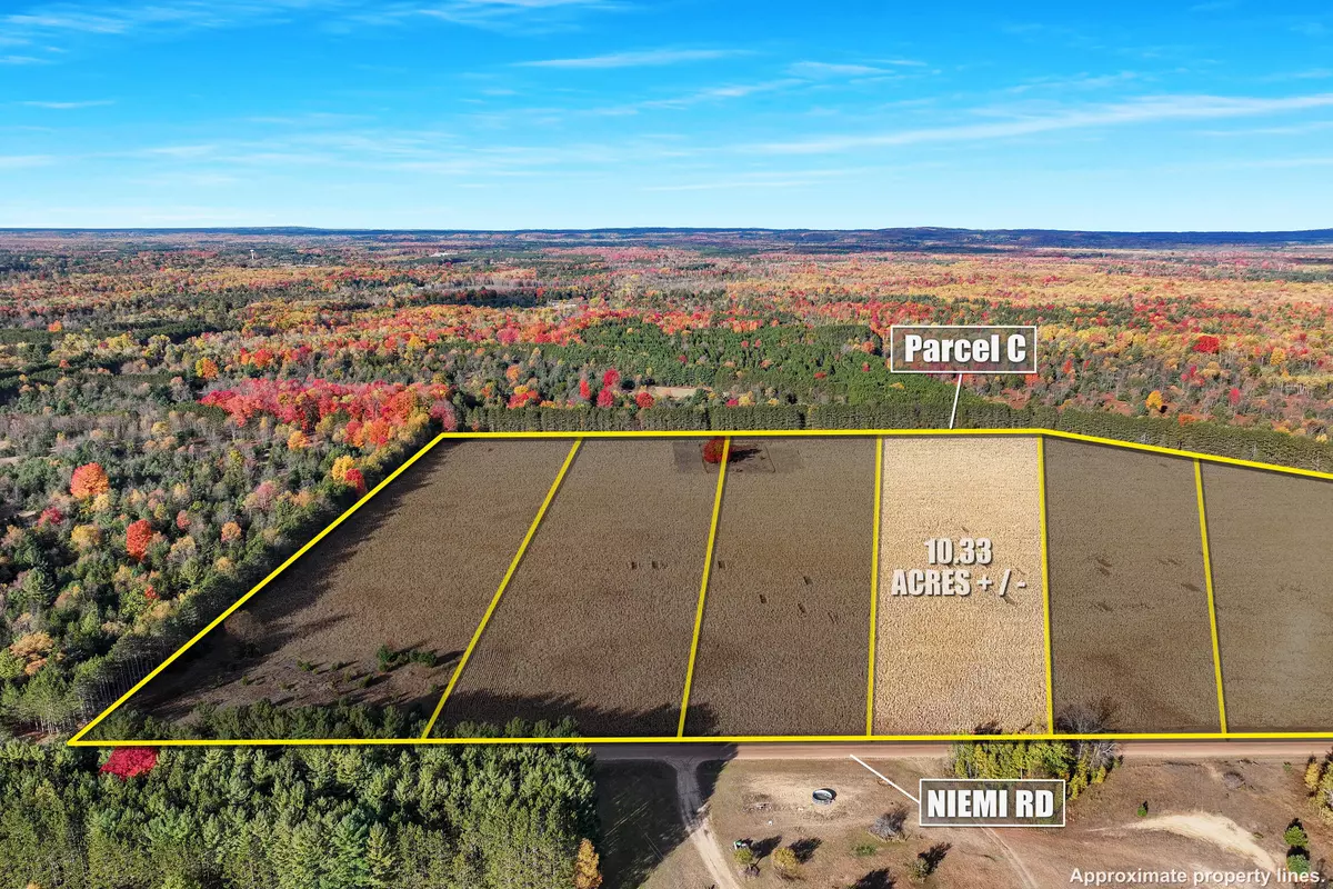 Kaleva, MI 49645,0 V/L 10.33 acres  Niemi Road #PARCEL C