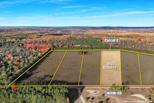 0 V/L 10.33 acres  Niemi Road #PARCEL C, Kaleva, MI 49645