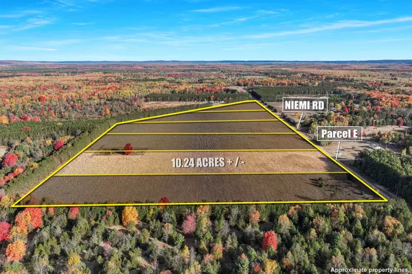 Kaleva, MI 49645,0 V/L 10.24 ACRES Niemi Road #PARCEL E