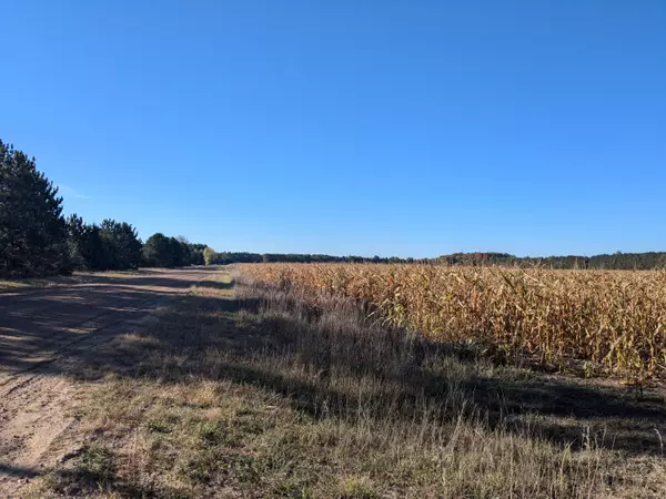 Kaleva, MI 49645,0 V/L 12.15 ACRES Niemi Road #PARCEL A