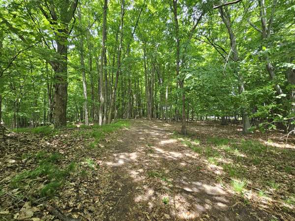 Waterwheel Road, Six Lakes, MI 48886