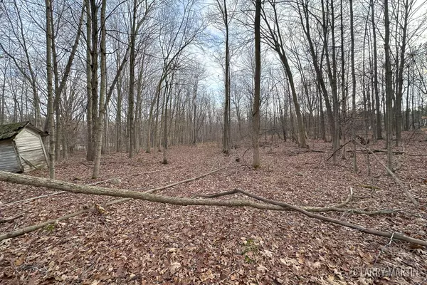 Hubbardston, MI 48845,V/L Stoneybrook Trail