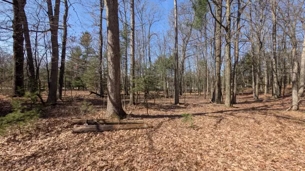 Ludington, MI 49431,5764 W Bryant Road