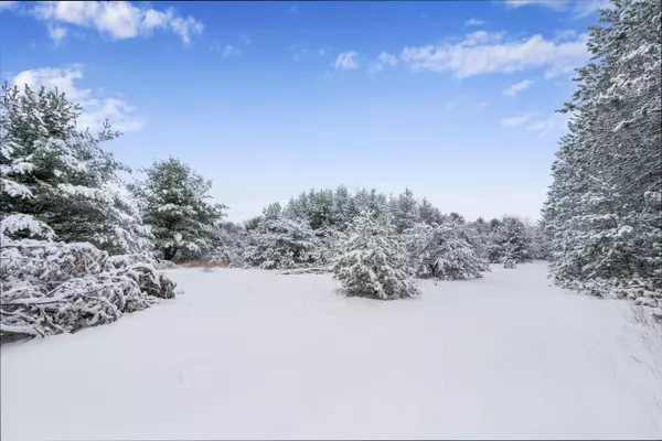 Free Soil, MI 49411,10982 N Budde Road