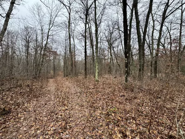10176 Parcel A S Pine Avenue, Howard City, MI 49329