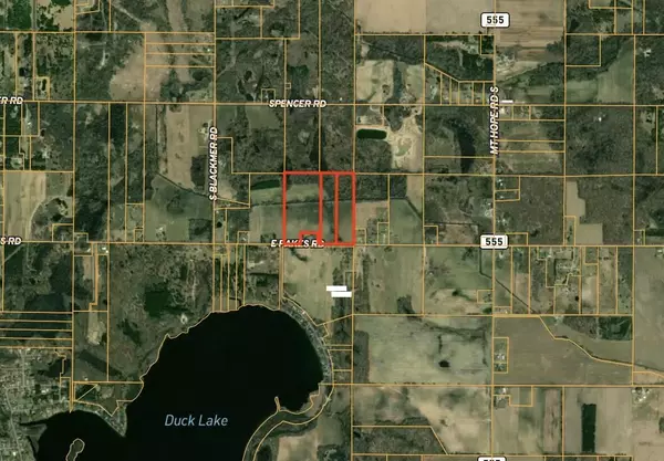 Crystal, MI 48818,V/L 10A E Pakes Road #PARCEL C