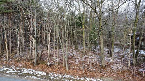 Lot 1 V/L James St, Holland, MI 49424