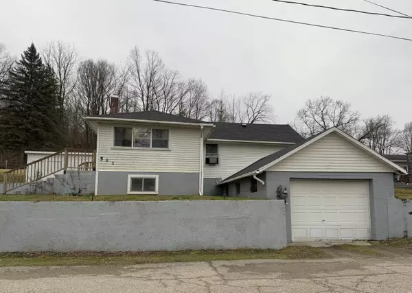 503 Grant Street, Ionia, MI 48846