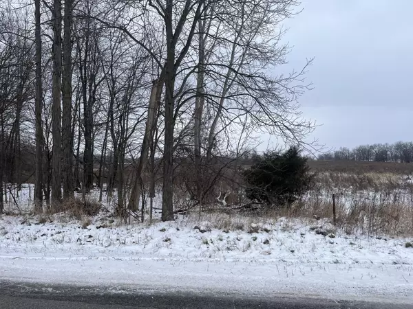 Alto, MI 49302,11484 64th SE Street