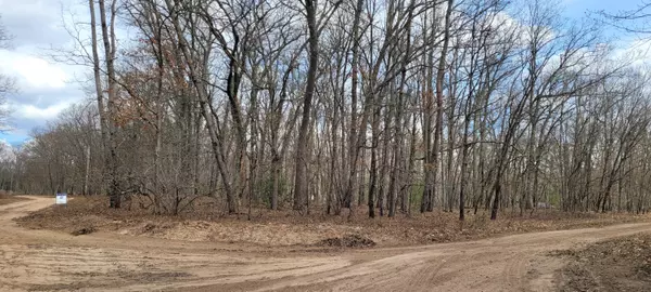 Luther, MI 49656,5580 N Syers Drive