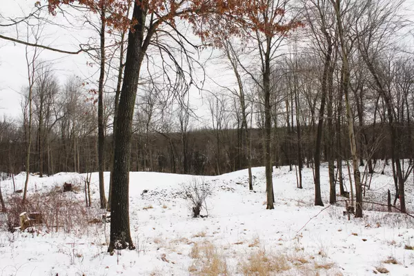 Sugar Creek Lot 36, Middleville, MI 49333