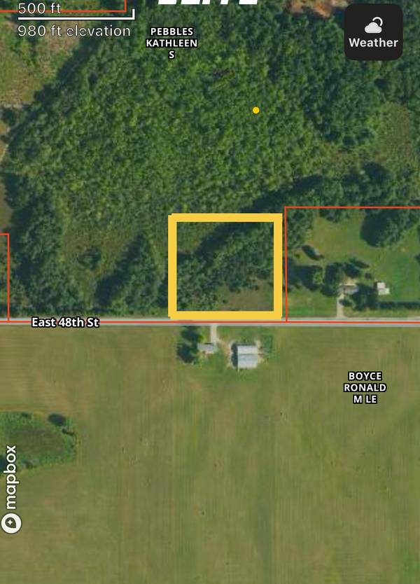 4 acres E V/L E 48th Street, Chase, MI 49623