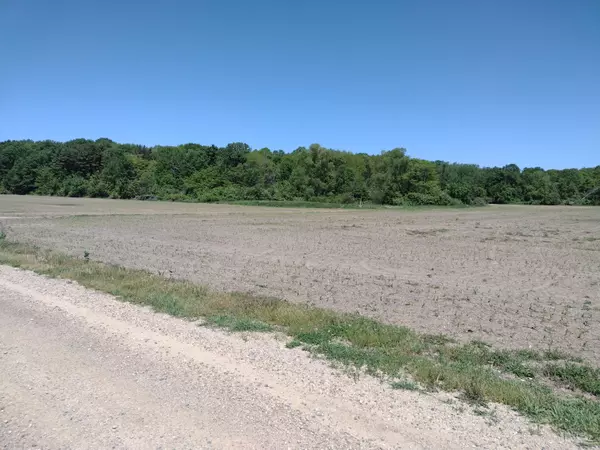 0006 118th Street, Fennville, MI 49408