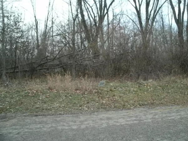 0 Drew Drive #Lot 29, Niles, MI 49120