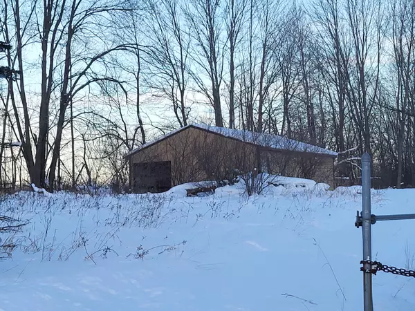 Grand Junction, MI 49056,16843 49th Street