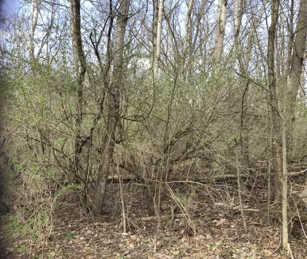 Otsego, MI 49078,Briarwood Drive