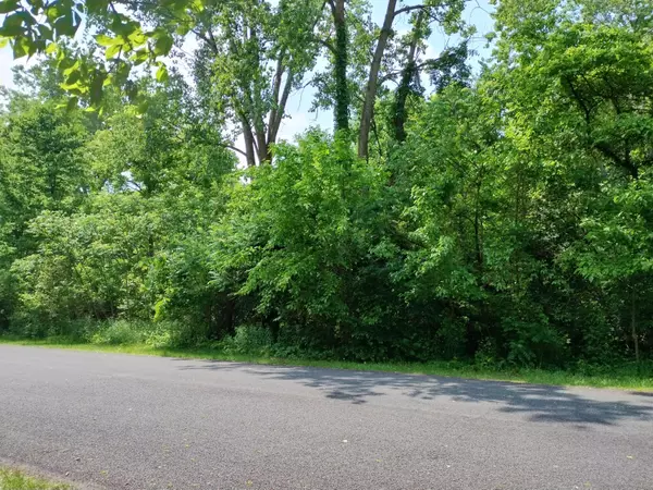Otsego, MI 49078,Briarwood Drive