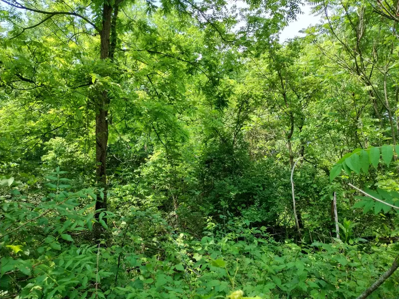 Briarwood Drive, Otsego, MI 49078