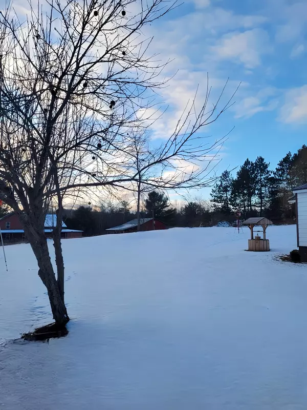 Blanchard, MI 49310,1208 W Millbrook Road