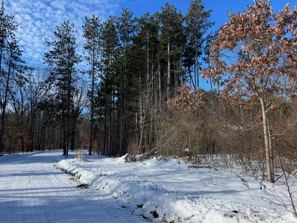 Saugatuck, MI 49453,6289 Gesh Trail