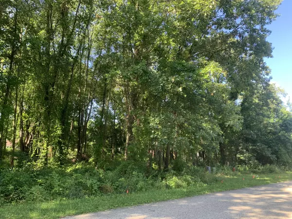 Gobles, MI 49055,310 Arnstrom Street