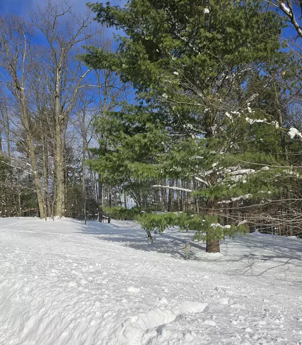 Onekama, MI 49675,Lot 1 Emerald Ridge