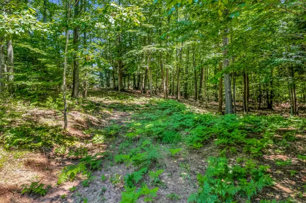 Onekama, MI 49675,Lot 1 Emerald Ridge