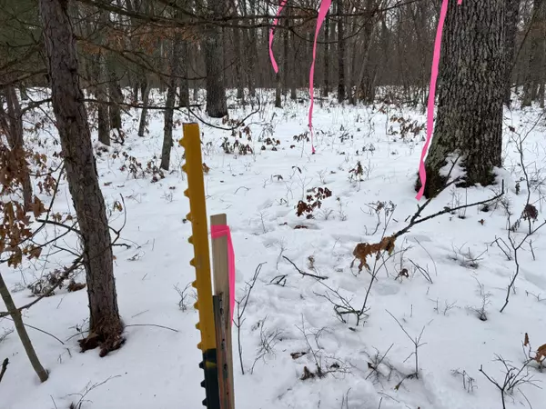 Merrill Twp, MI 49309,0 N Woodbridge Avenue