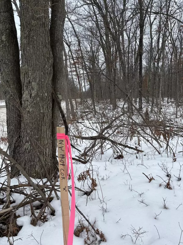 Merrill Twp, MI 49309,0 N Woodbridge Avenue