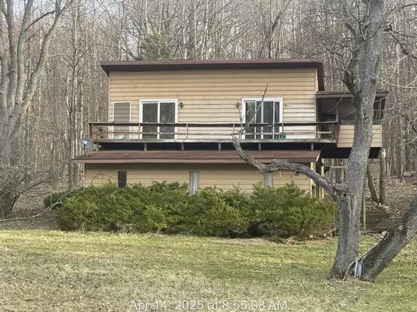12392 Lone Oak Drive, Stanwood, MI 49346