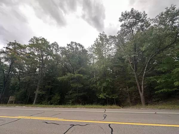 Pentwater, MI 49449,4.39 Acres BR US 31