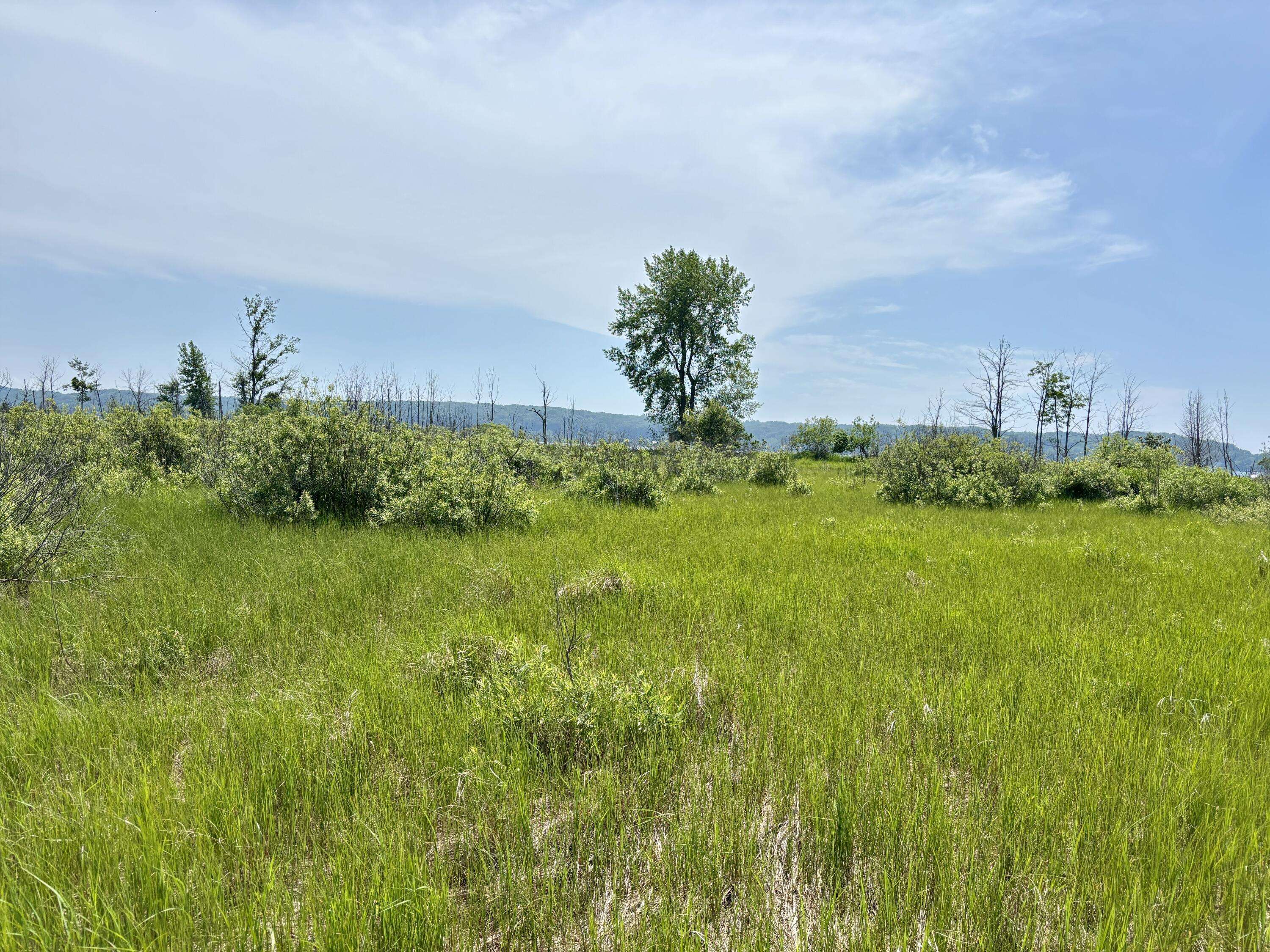 Onekama, MI 49675,001 W Fairway
