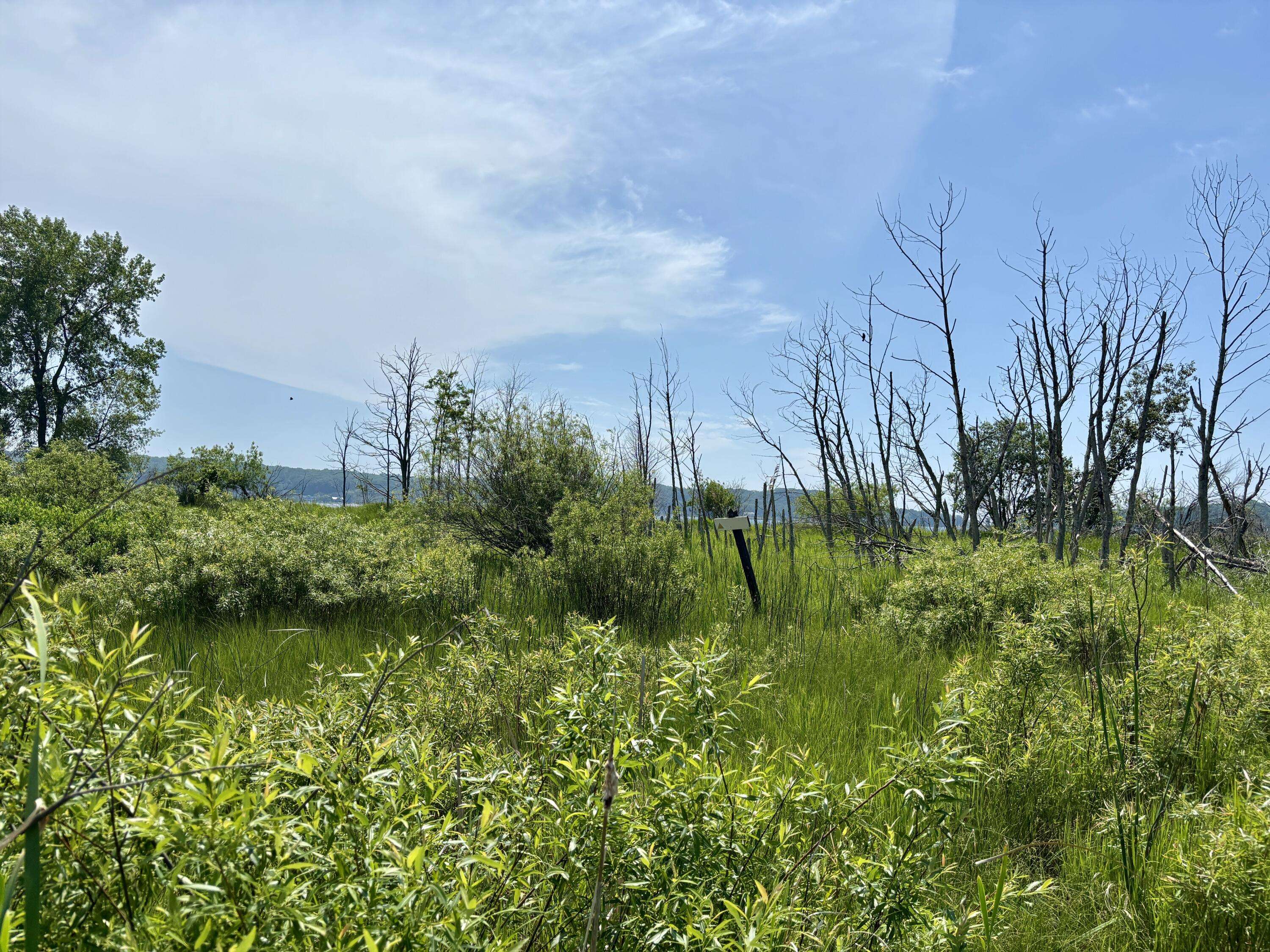 Onekama, MI 49675,001 W Fairway
