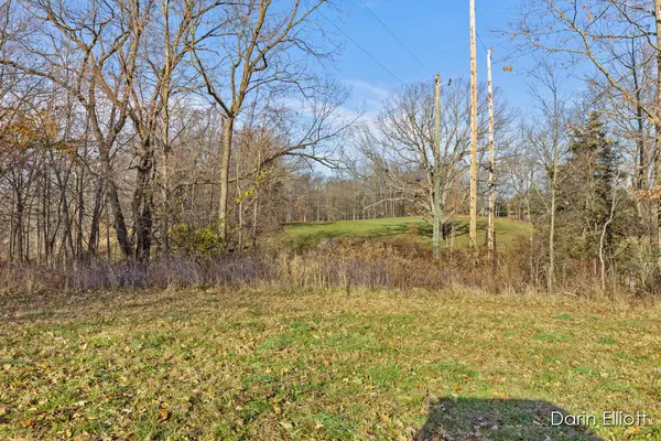 Ionia, MI 48846,Parcel 3 Kingston Road