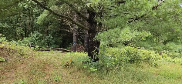 Gobles, MI 49055,27864 Co Rd 388