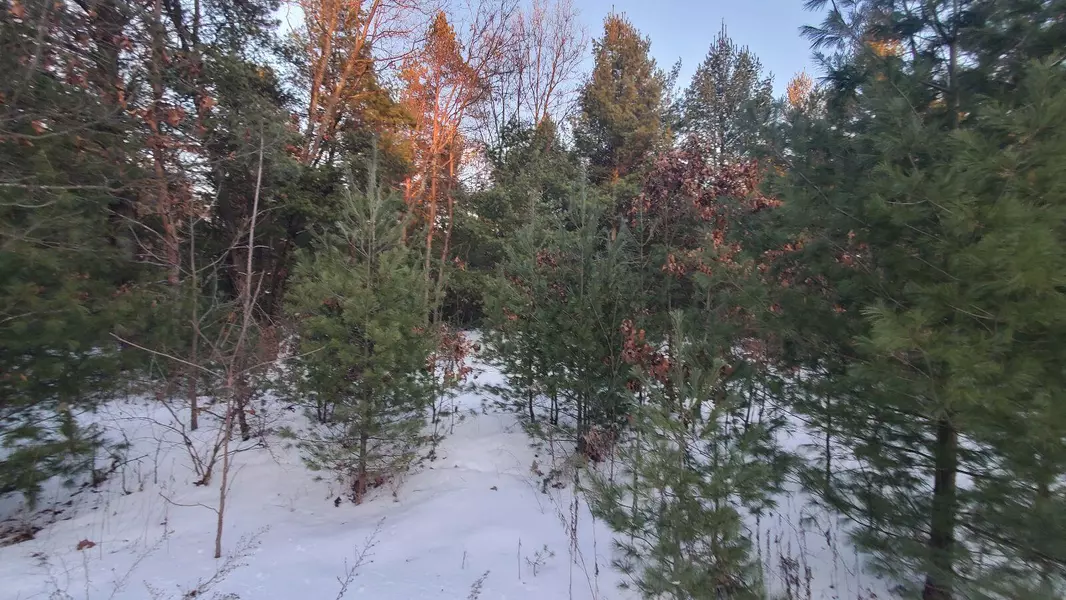 456 S Nancy Drive, White Cloud, MI 49349