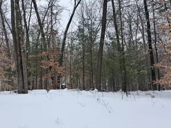White Cloud, MI 49349,V/L Grand Blvd