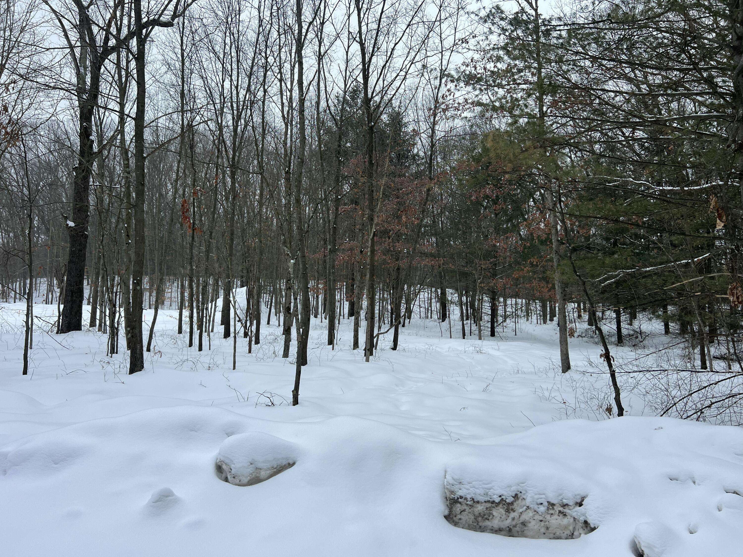 Spring Lake, MI 49456,VL Taft Street