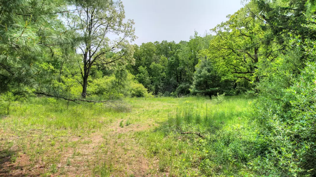 8232 Ramsdell NE Drive, Rockford, MI 49341