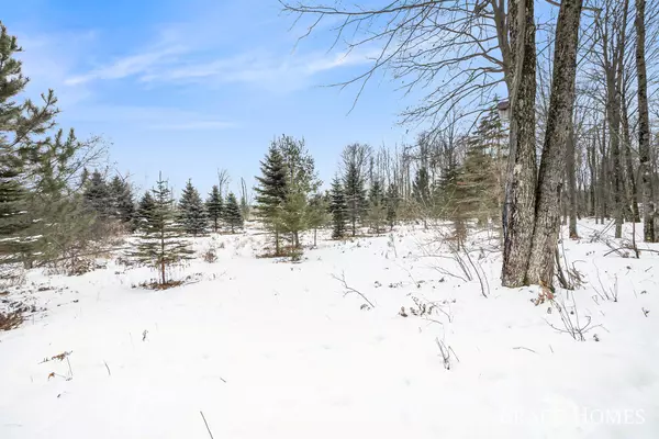 Stanwood, MI 49346,6135 Fawn Lake Drive