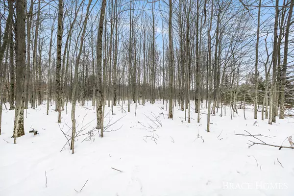 Stanwood, MI 49346,6135 Fawn Lake Drive