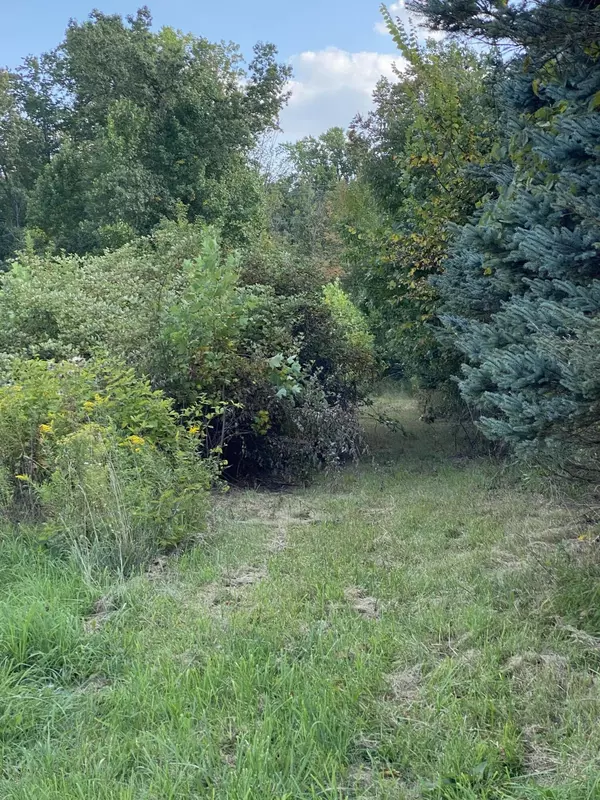 Battle Creek, MI 49015,V/L Watkins Road