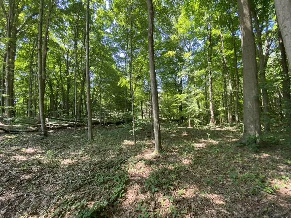 South Haven, MI 49090,14606 Crest View Court