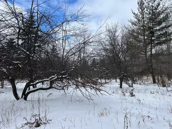 Lakeview, MI 48850,1 Mile Road