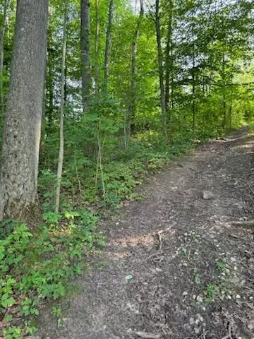 Rodney, MI 49342,7908 Park Avenue
