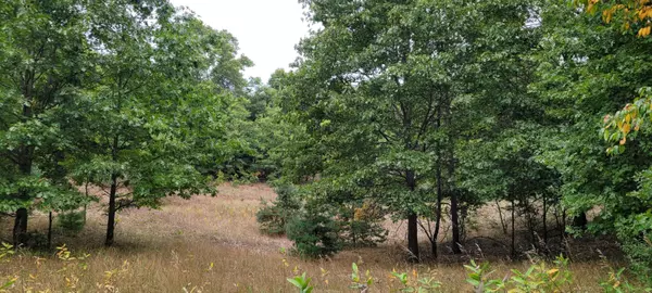 300 N 56th Avenue,  Mears,  MI 49436